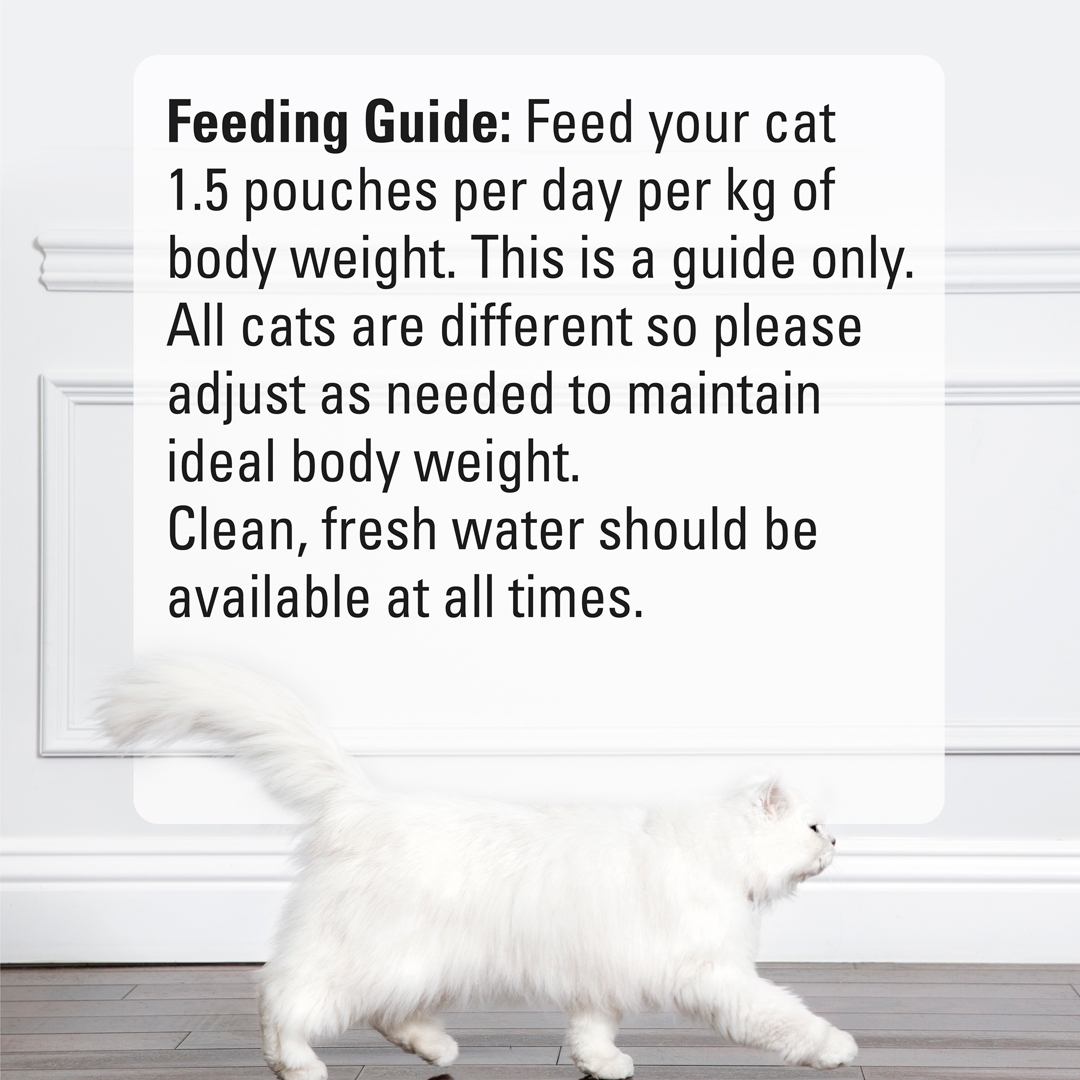 Fancy feast gravy outlet pouches